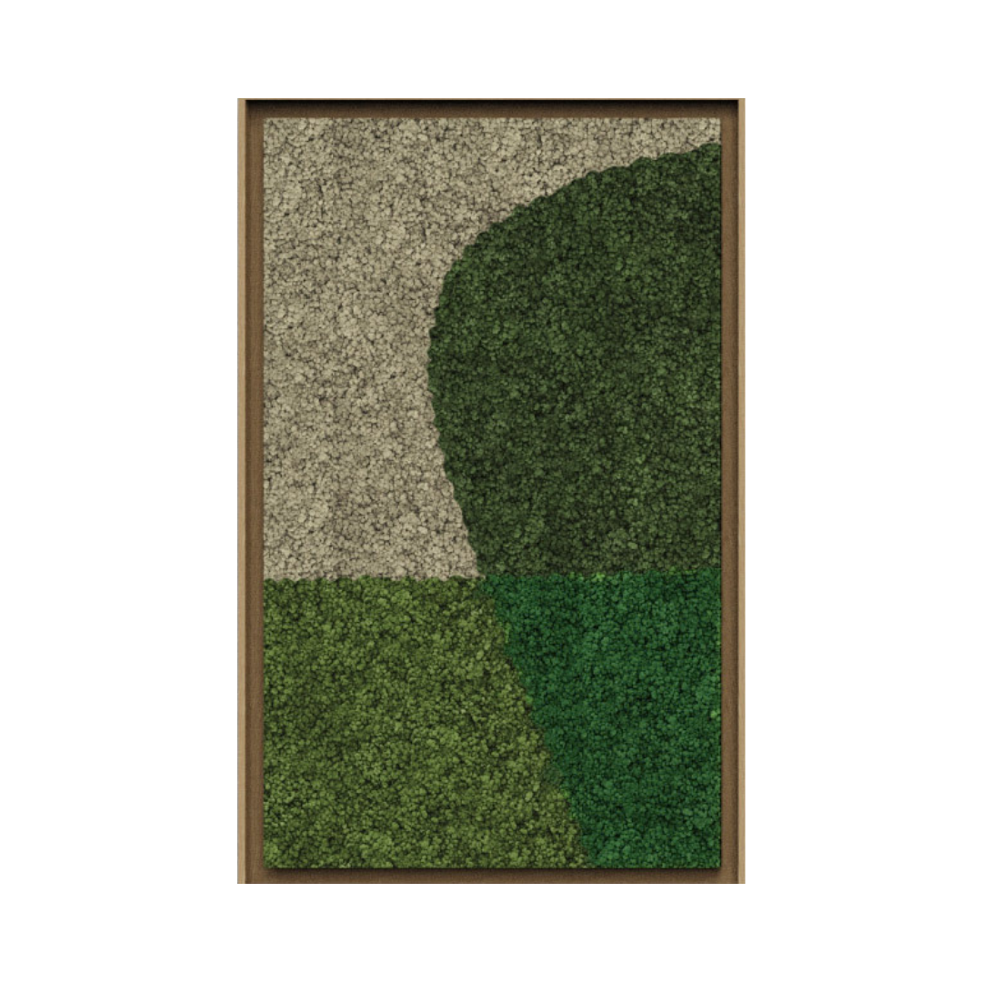 Synergy Framed Moss Art (Series B)