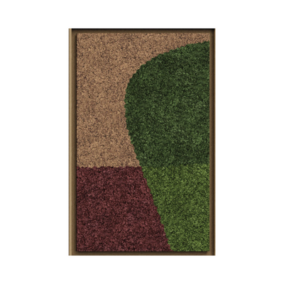 Synergy Framed Moss Art (Series B)