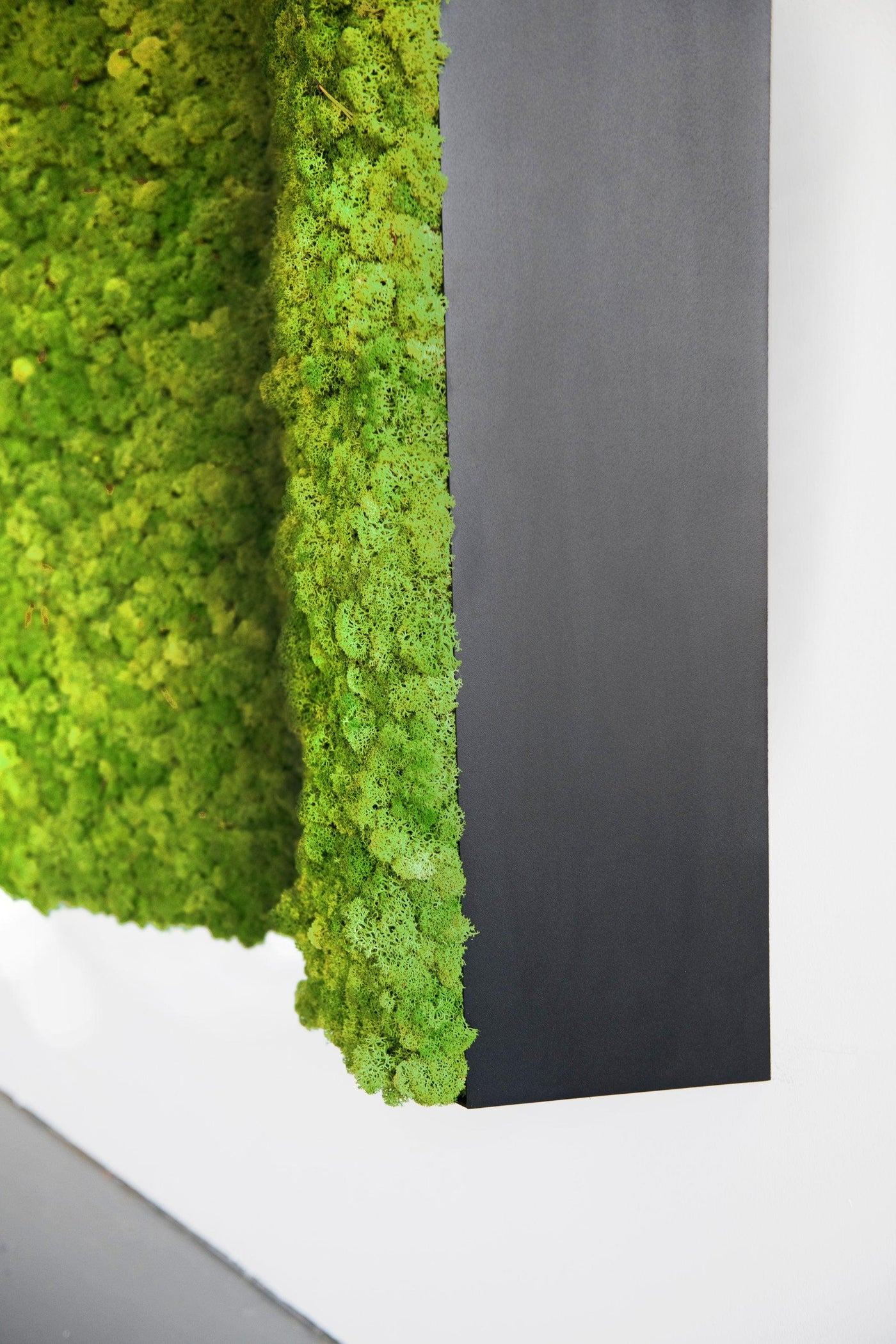 Moss & Plant Pillars: Moss 3D Wall Designs