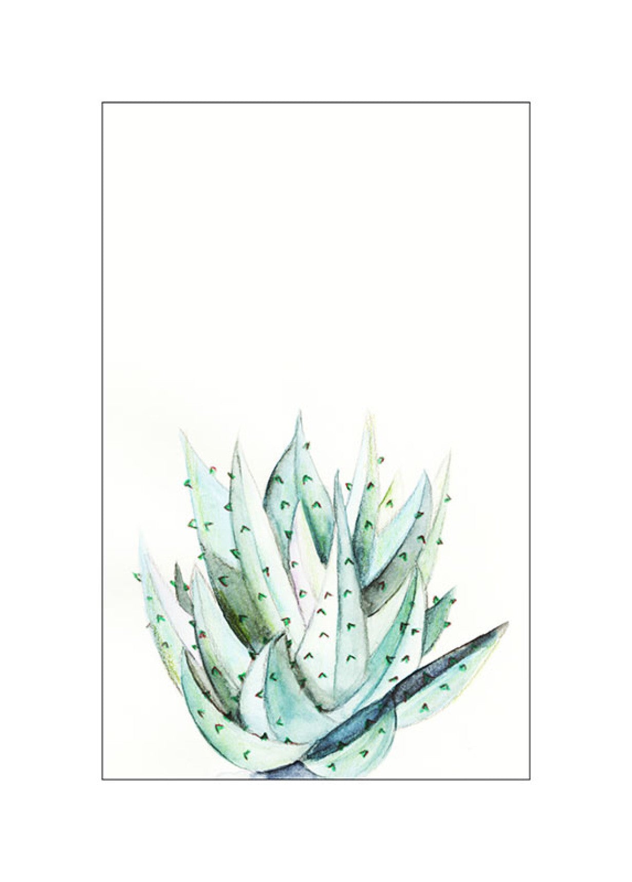 Aloe Watercolor Art Poster