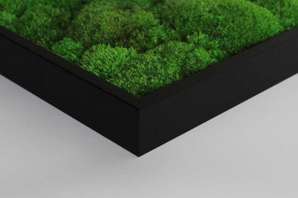 Merging Square Moss Wall Art (80cm)-Wall Decor-MOSS FRAMES, MOSS PICTURES, MOSS WALL ART, PLANTS-Forest Homes-Nature inspired decor-Nature decor