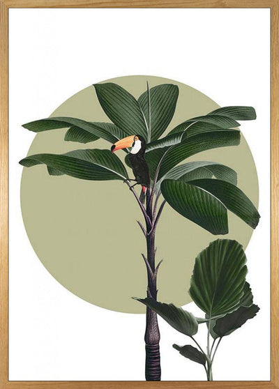 Botanical Garden Palmtree Art Poster