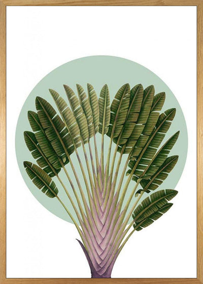 Botanical Garden Pinnate Palm Art Poster