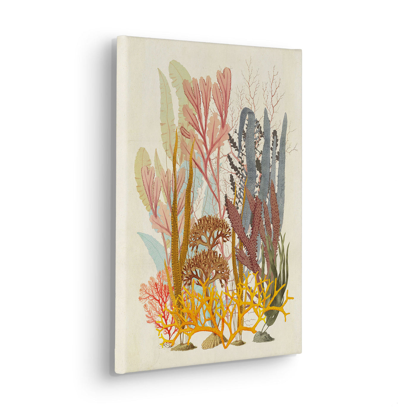 Coral Aqua Stretched Canvas