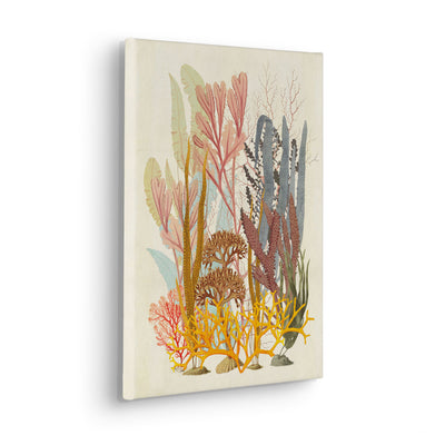 Coral Aqua Stretched Canvas