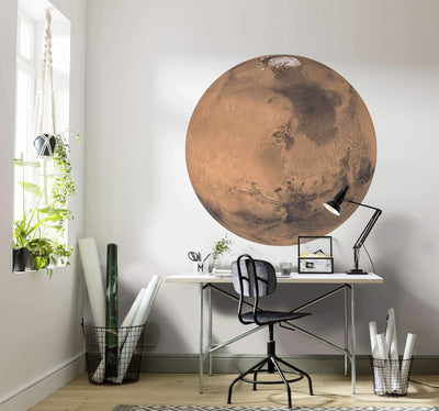 Planet Mars Circle Wall Art (Self-Adhesive)-Wall Decor-ABSTRACT WALLPAPERS, ART WALLPAPER, CIRCLE WALL ART, ECO MURALS, NATURE WALL ART, PATTERN WALLPAPERS, SUSTAINABLE DECOR-Forest Homes-Nature inspired decor-Nature decor