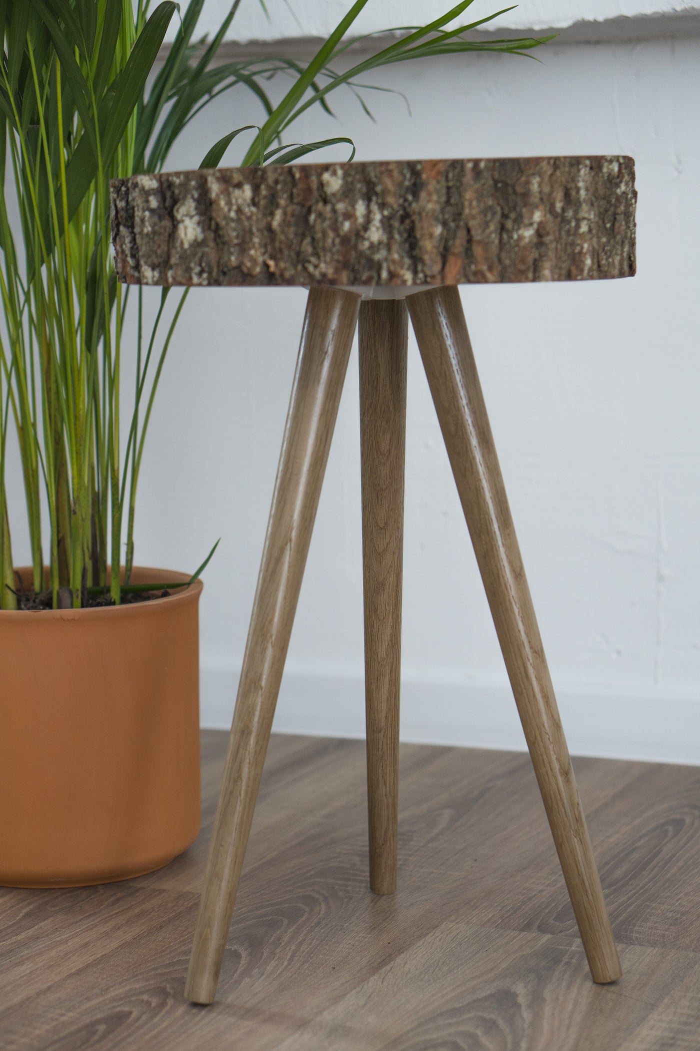 Stala Oak Slice Side Table-Furnishings-SUSTAINABLE DECOR, TABLES-Forest Homes-Nature inspired decor-Nature decor