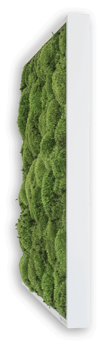 Forest Green Moss Wall Art (100x60cm)-Wall Decor-MOSS FRAMES, MOSS PICTURES, MOSS WALL ART, PLANTS-Forest Homes-Nature inspired decor-Nature decor