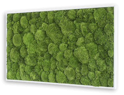Forest Green Moss Wall Art (100x60cm)-Wall Decor-MOSS FRAMES, MOSS PICTURES, MOSS WALL ART, PLANTS-Forest Homes-Nature inspired decor-Nature decor