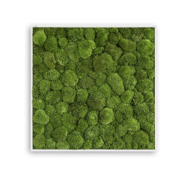 Green Square Moss Art (80cm)-Wall Decor-MOSS FRAMES, MOSS PICTURES, MOSS WALL ART, PLANTS-Forest Homes-Nature inspired decor-Nature decor