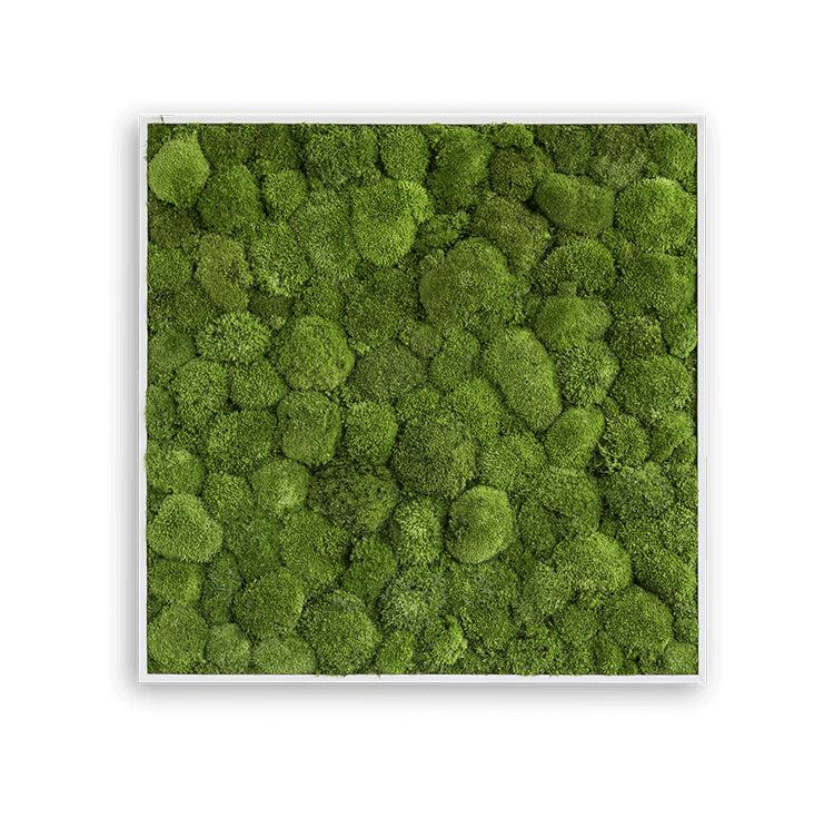 Green Forest Moss Art Green Moss Wall Art Forest Homes