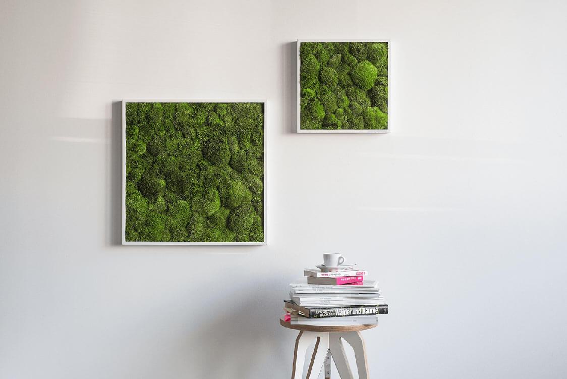 Green Square Moss Art (35cm)-Wall Decor-MOSS FRAMES, MOSS PICTURES, MOSS WALL ART, PLANTS-Forest Homes-Nature inspired decor-Nature decor