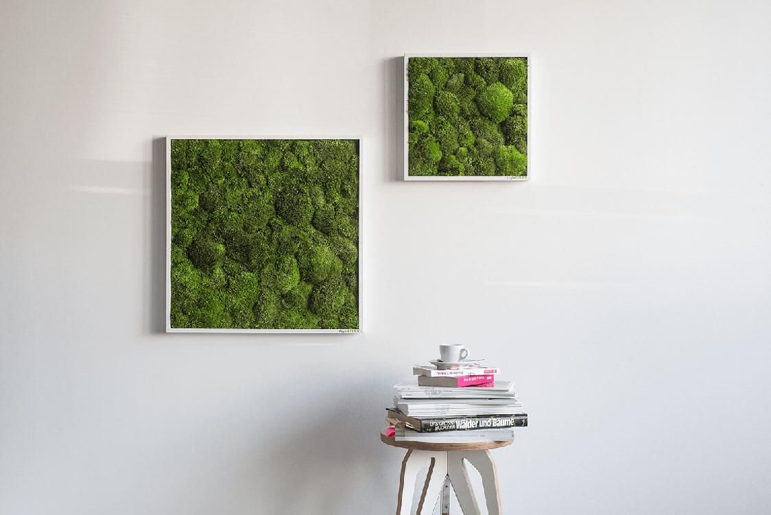 Green Square Moss Art (55cm)-Wall Decor-MOSS FRAMES, MOSS PICTURES, MOSS WALL ART, PLANTS-Forest Homes-Nature inspired decor-Nature decor