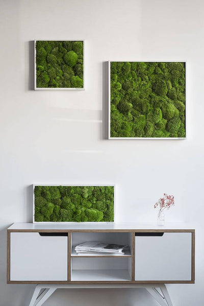 Green Square Moss Art (55cm)-Wall Decor-MOSS FRAMES, MOSS PICTURES, MOSS WALL ART, PLANTS-Forest Homes-Nature inspired decor-Nature decor