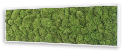 Wide Green Moss Wall Art (140x40cm)-Wall Decor-MOSS FRAMES, MOSS PICTURES, MOSS WALL ART, PLANTS-Forest Homes-Nature inspired decor-Nature decor