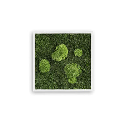 Forest Square Moss Wall Art (35cm)-Wall Decor-MOSS FRAMES, MOSS PICTURES, MOSS WALL ART, PLANTS-Forest Homes-Nature inspired decor-Nature decor