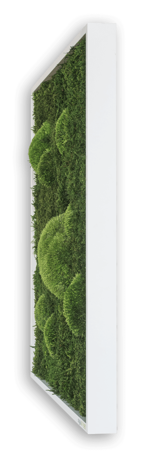 Forest Square Moss Wall Art (35cm)-Wall Decor-MOSS FRAMES, MOSS PICTURES, MOSS WALL ART, PLANTS-Forest Homes-Nature inspired decor-Nature decor