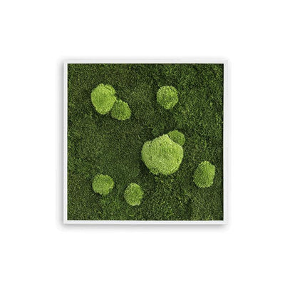 Forest Square Moss Wall Art (55cm)-Wall Decor-MOSS FRAMES, MOSS PICTURES, MOSS WALL ART, PLANTS-Forest Homes-Nature inspired decor-Nature decor