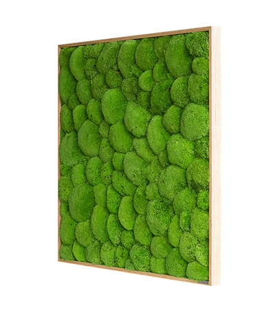 Green Square Moss Art (80cm)