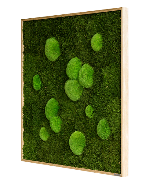 Forest Square Moss Wall Art (80cm)