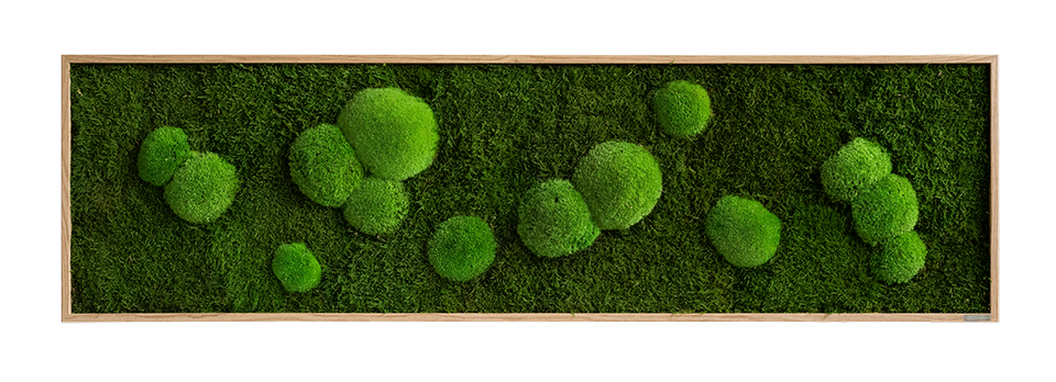 Green Wide Moss Wall Art (140x40cm)