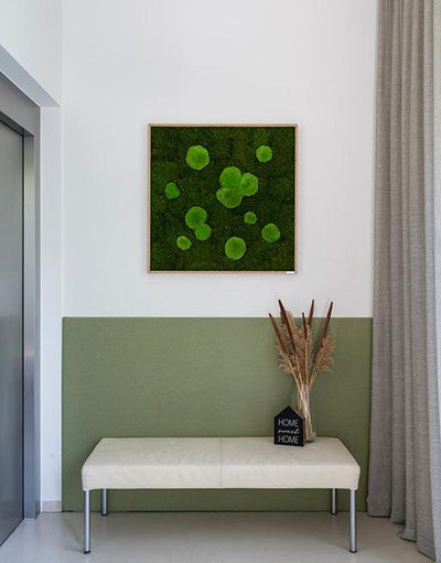 Forest Square Moss Wall Art (80cm)