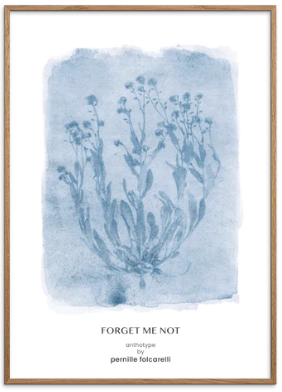 Forget Me Not - Blue Original Artist Poster