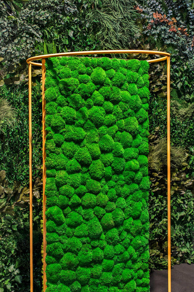 Plant and Moss Dividers-Wall Decor-LIVING MOSS WALL, MOSS FRAMES, MOSS PICTURES, MOSS WALL ART, PLANT WALL ART, PLANTS-Forest Homes-Nature inspired decor-Nature decor