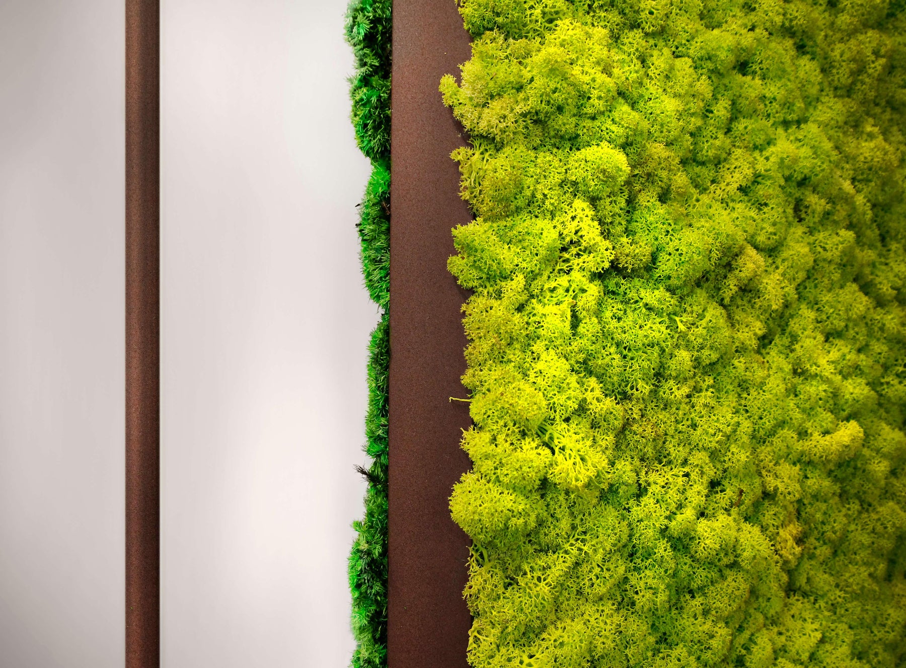 Moss Walls & Moss Panels — Vert Plantworks