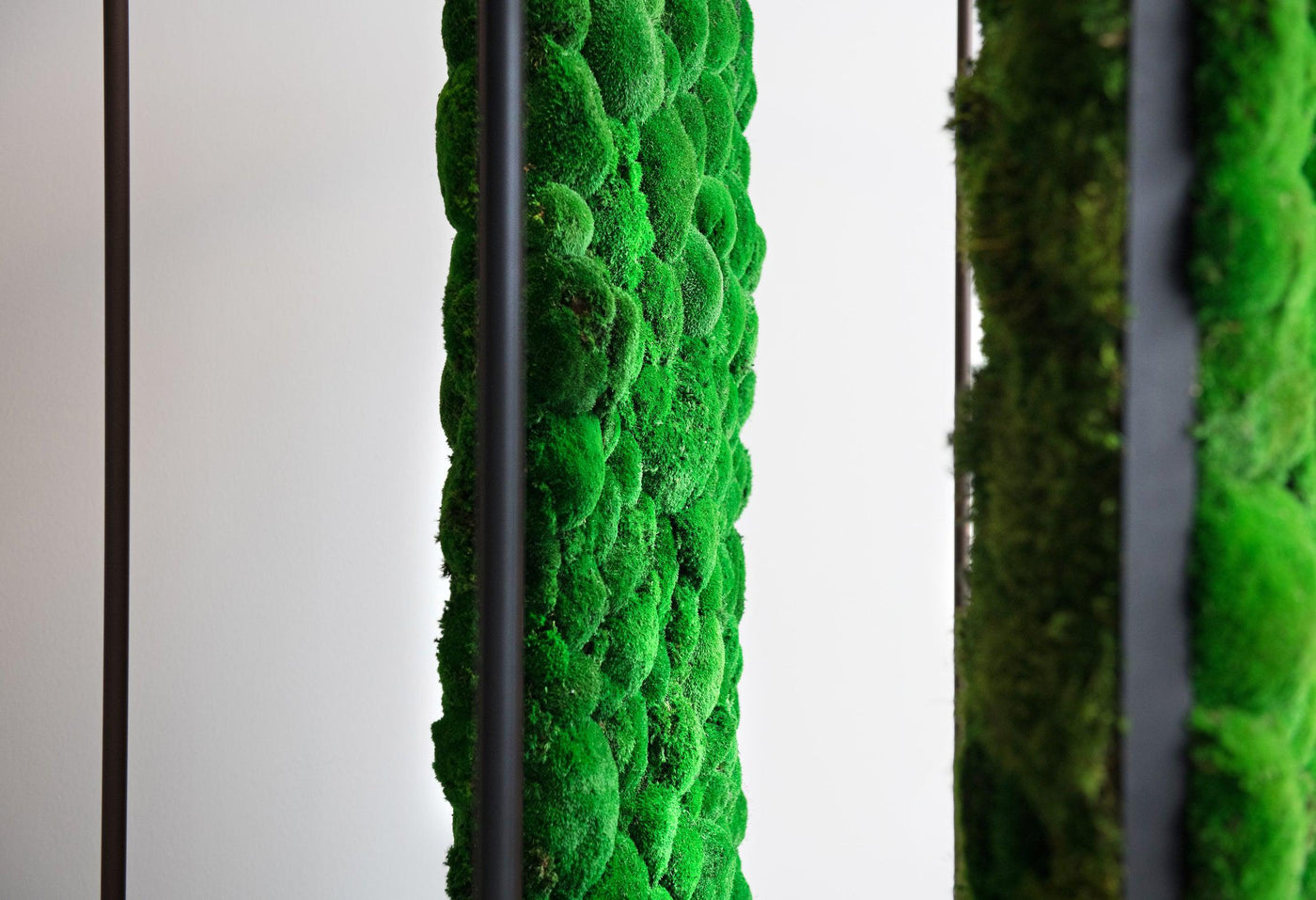 Plant and Moss Dividers-Wall Decor-LIVING MOSS WALL, MOSS FRAMES, MOSS PICTURES, MOSS WALL ART, PLANT WALL ART, PLANTS-Forest Homes-Nature inspired decor-Nature decor