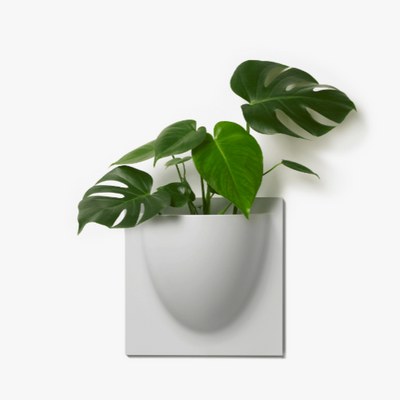 White VertiPlant Bio Wall Container-Home Goods-BOXES / ORGANISERS / CONTAINERS, SUPPORT / BASES / STANDS, SUSTAINABLE DECOR, WALL HANGERS-Forest Homes-Nature inspired decor-Nature decor