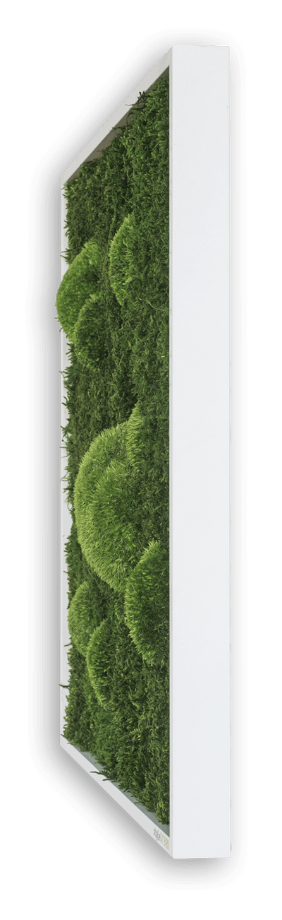 Green Wide Moss Wall Art (140x40cm)-Wall Decor-MOSS FRAMES, MOSS PICTURES, MOSS WALL ART, PLANTS-Forest Homes-Nature inspired decor-Nature decor