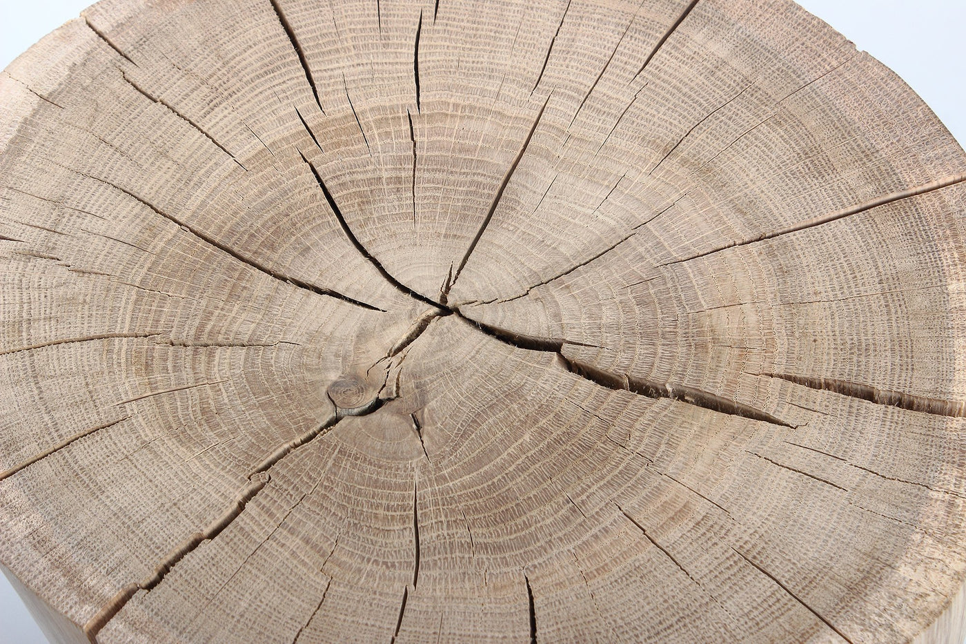 Medui Oak Log Stool-Furnishings-STOOLS, SUSTAINABLE DECOR, TABLES-Forest Homes-Nature inspired decor-Nature decor