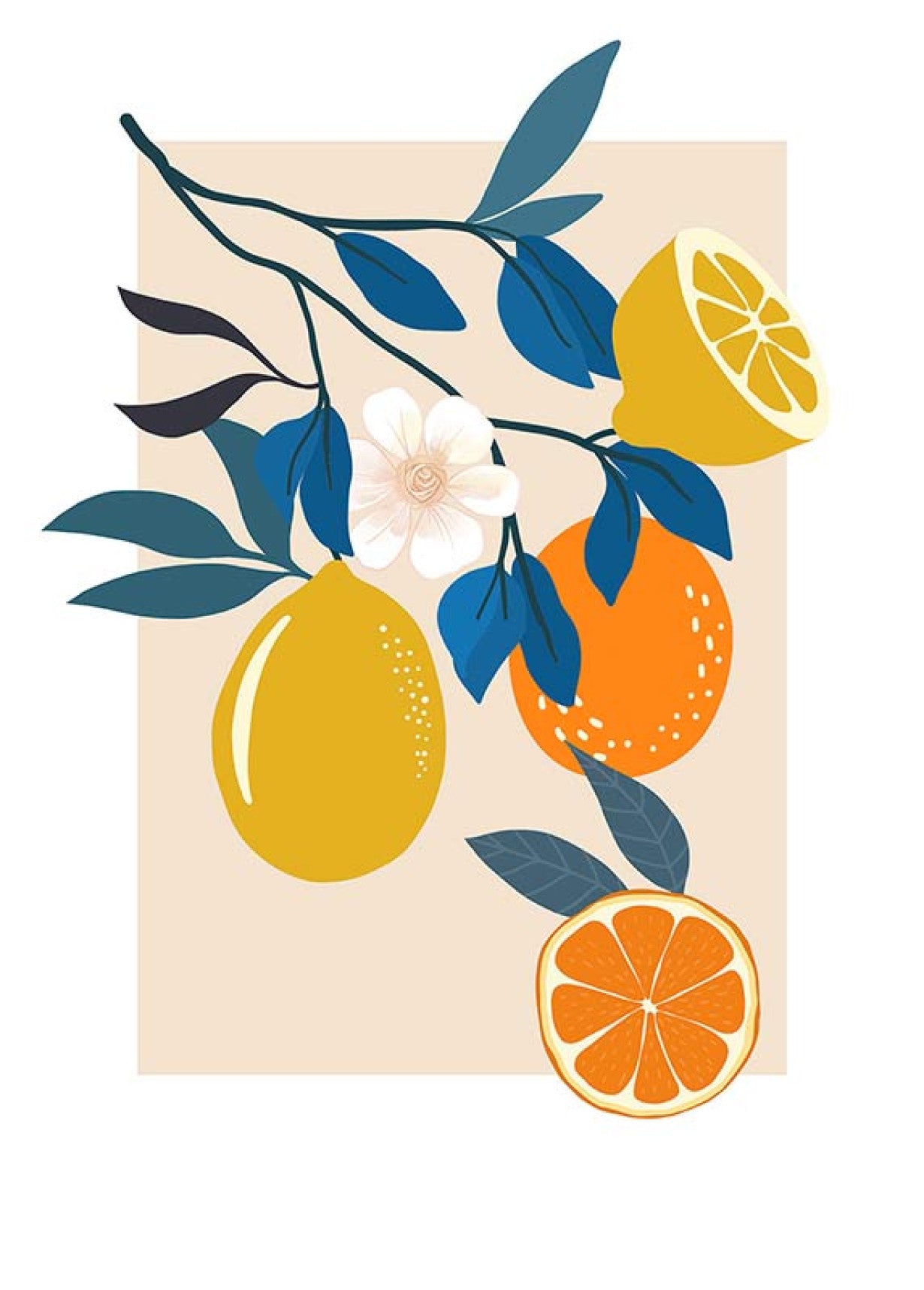 Illustration Finest Fruits Art Poster