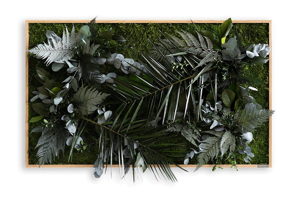 Jungle Rectangular Plant and Moss Wall Art (100x60cm)