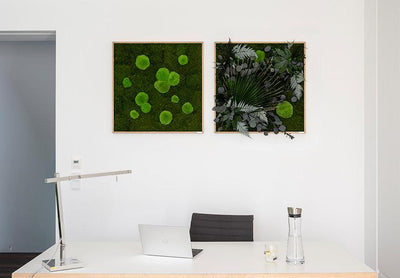 Jungle Squared Plant and Moss Wall Art (80cm)