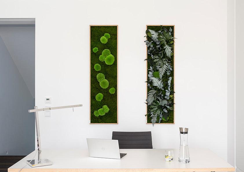 Design Your Indoor Plant Wall Art  Moss Walls & Plant Walls – Forest Homes
