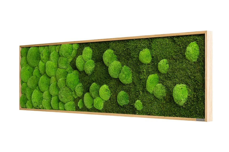 Wide Merging Moss Wall Art (140x40cm)