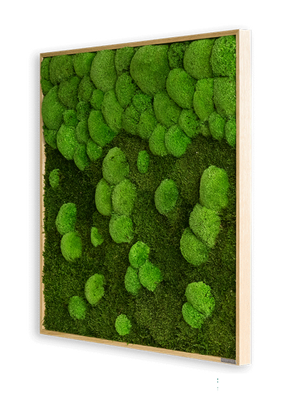 Merging Square Moss Wall Art (80cm)