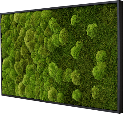 Merging Moss Green Wall Art (100x60cm)-Wall Decor-MOSS FRAMES, MOSS PICTURES, MOSS WALL ART, PLANTS-Forest Homes-Nature inspired decor-Nature decor