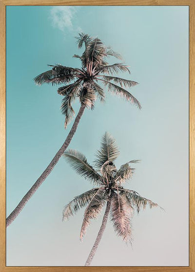 Miami Palms Art Poster