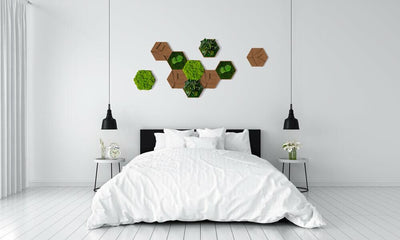 Cork Hexagons Moss Wall Art (Set of 5 Moss Panels)