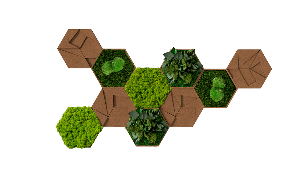 Cork Hexagons Moss Wall Art (Set of 10 Moss Panels)