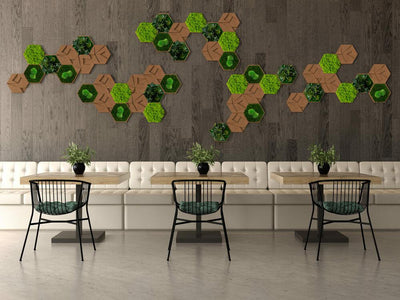 Cork Hexagons Moss Wall Art (Set of 50 Moss Panels)