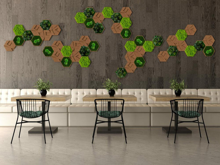 Moss and Cork Hexagon: Set of 50 Moss Panels | Forest Homes