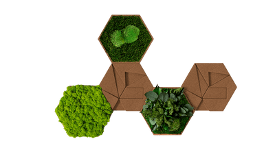 Cork Hexagons Moss Wall Art (Set of 5 Moss Panels)