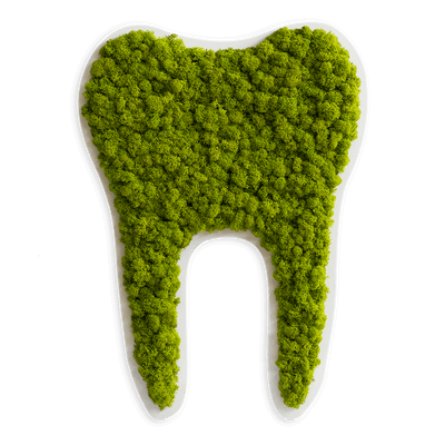 Green Tooth Nordic Moss Decor