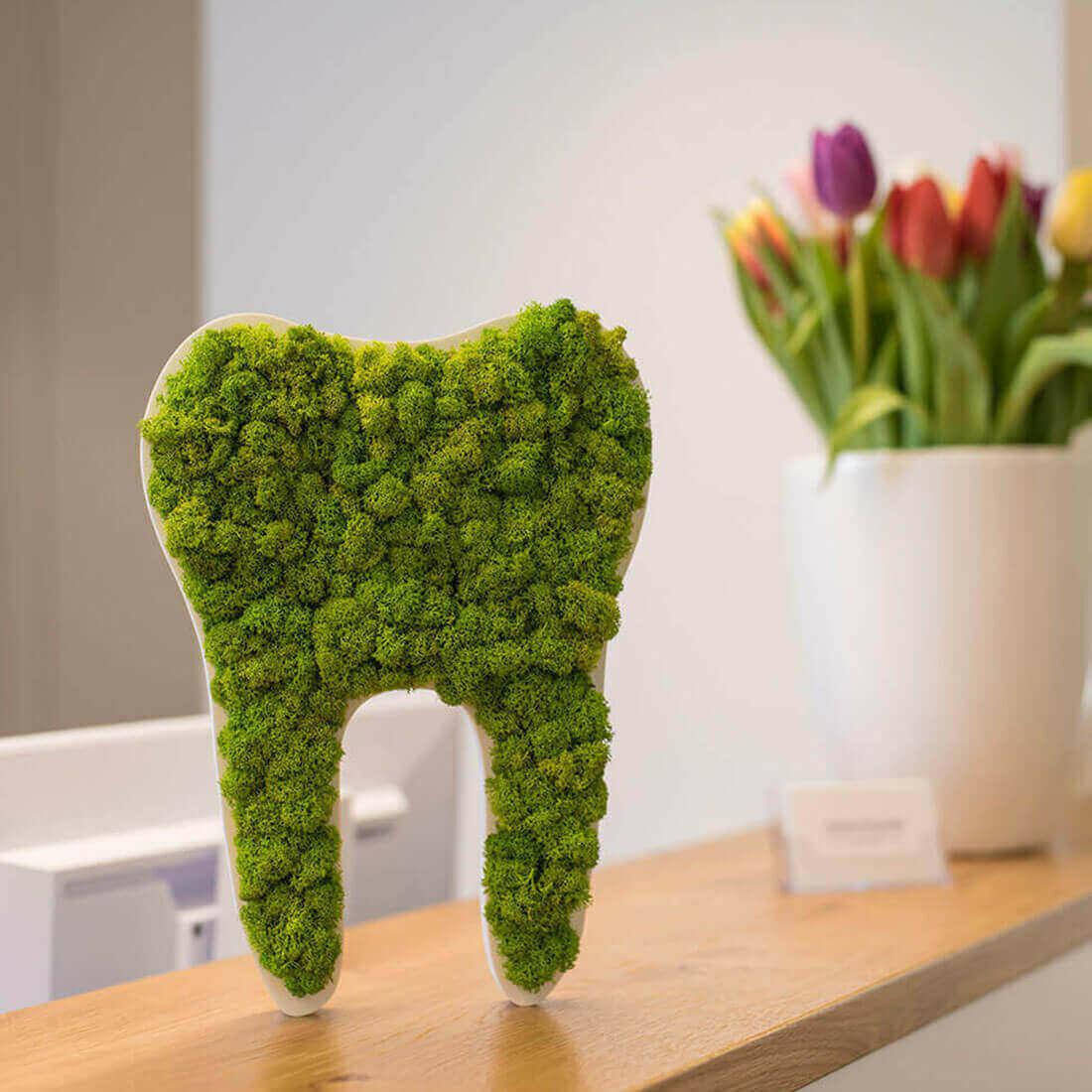 Green Tooth Moss Decor: Buy Moss Wall Art