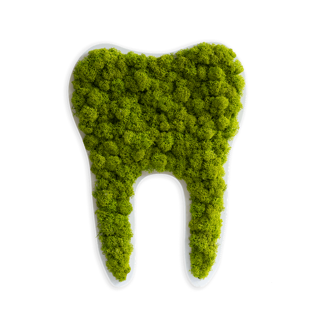 Green Tooth Nordic Moss Decor