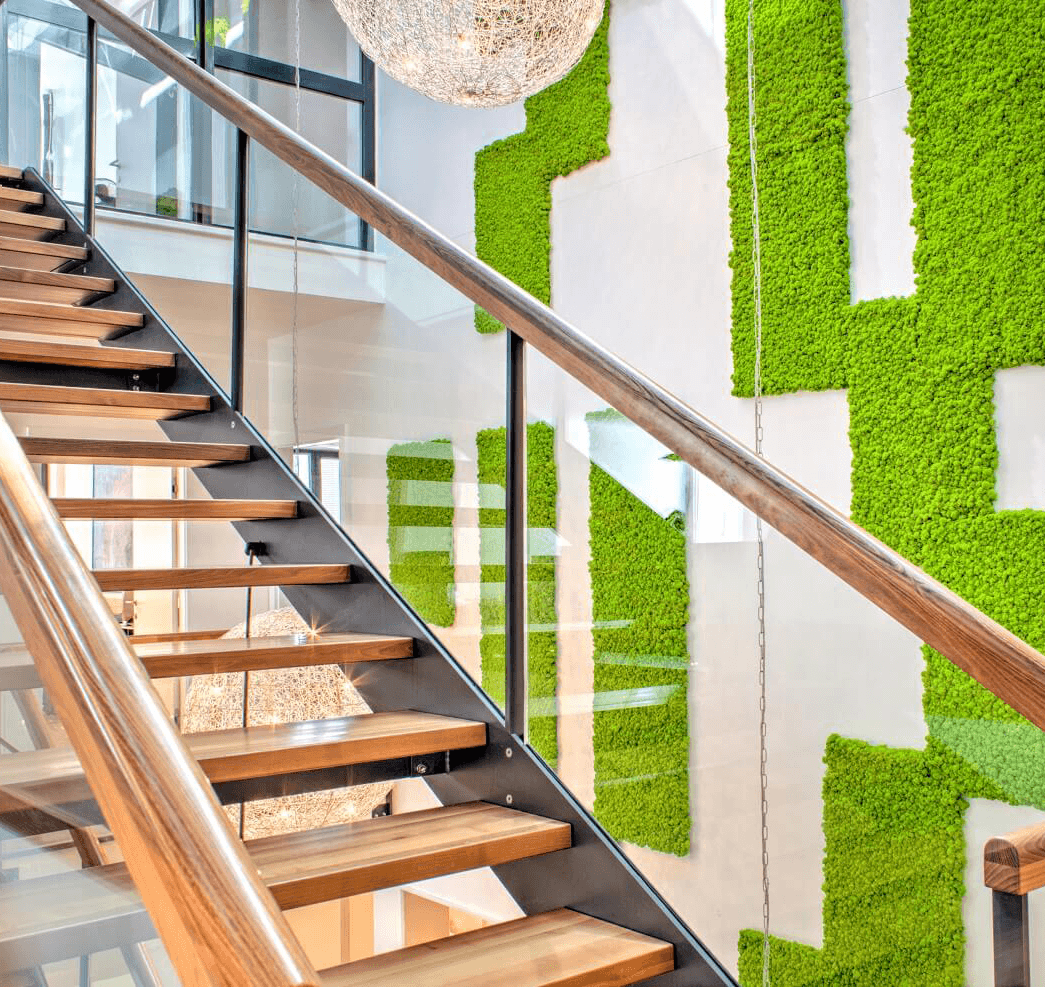 moss indoor plants interior design services DIY Moss Wall Kit: Moss Wall Art